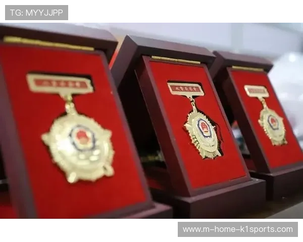 多元化荣誉勋章在当前周期内实现分级授予 提升了长效参与者的归属感 多元化荣誉勋章在当前周期内实现分级授予 提升了长效参与者的归属感